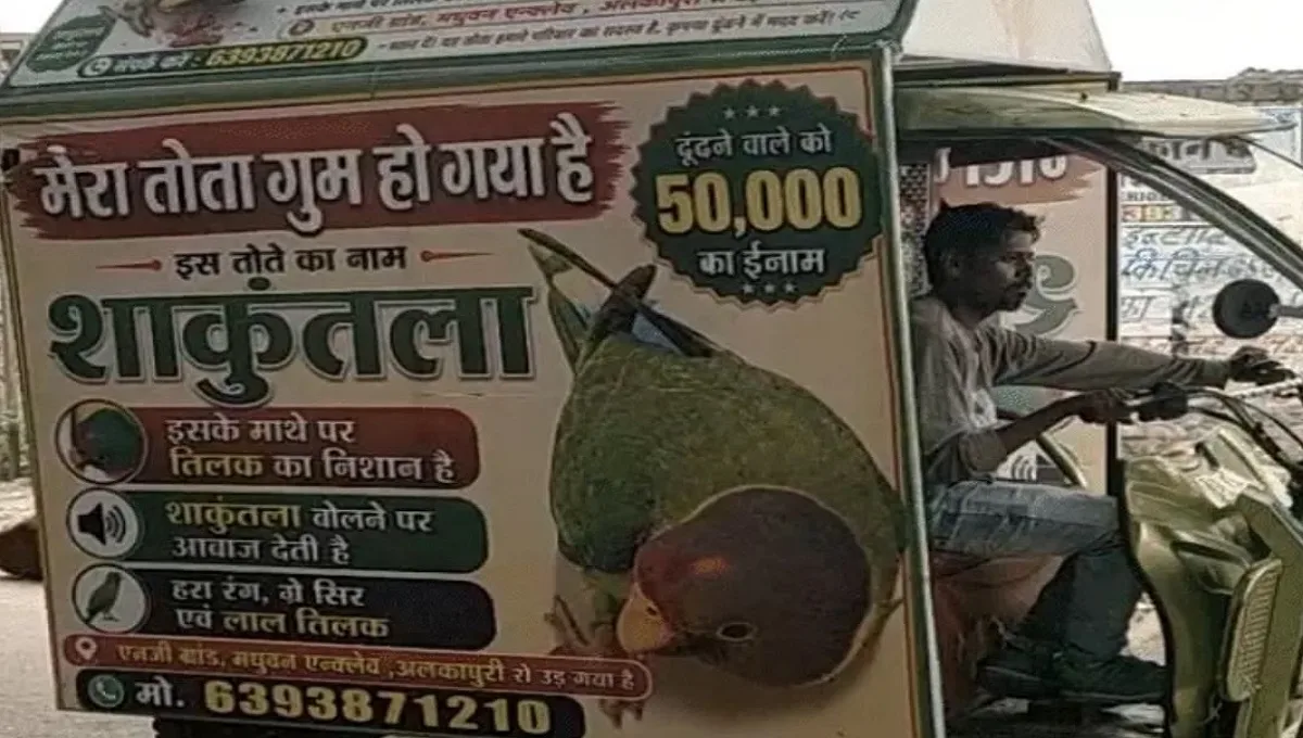 ग्वालियर के अलकापुरी में एक् परिवार ने मिट्ठू को सुरक्षित वापस लाने वाले को 50,000 रुपये का इनाम देने का एलान किया है।