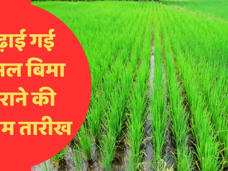 PM Fasal Bima Yojana: किसानों के लिए खुशखबरी, इस तारीख तक बढ़ाई गई फसल बीमा कराने की अंतिम तारीख