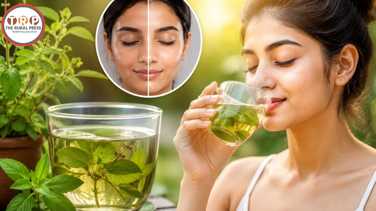 Glass of fresh tulsi water with green basil leaves on a wooden table
