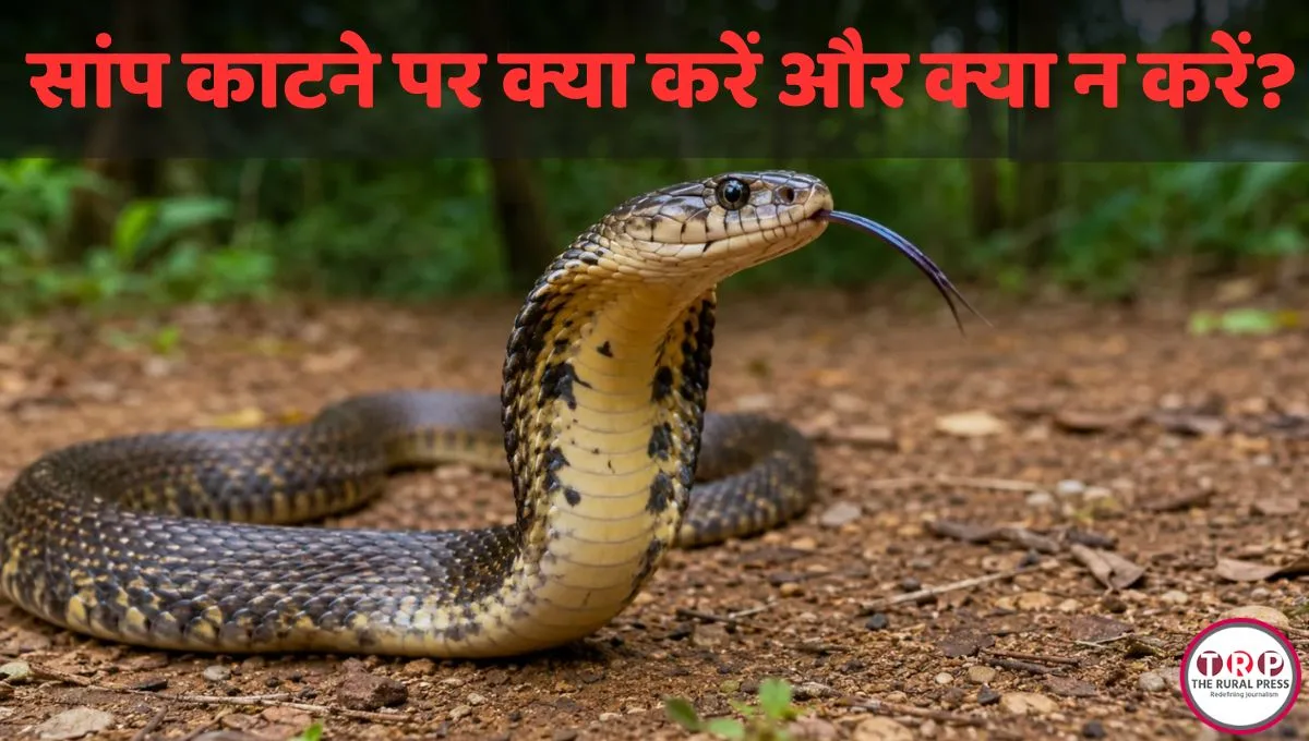 प काटने पर क्या करें और क्या न करें?