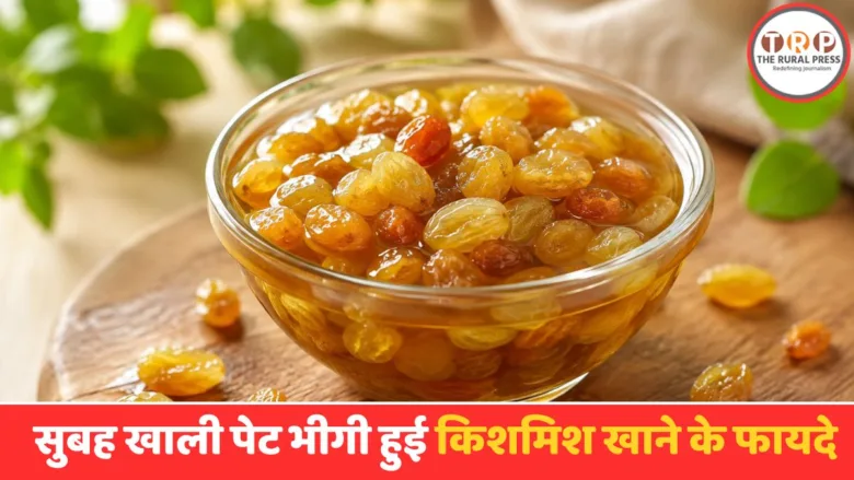 Bowl of soaked raisins in water served for a healthy morning diet.