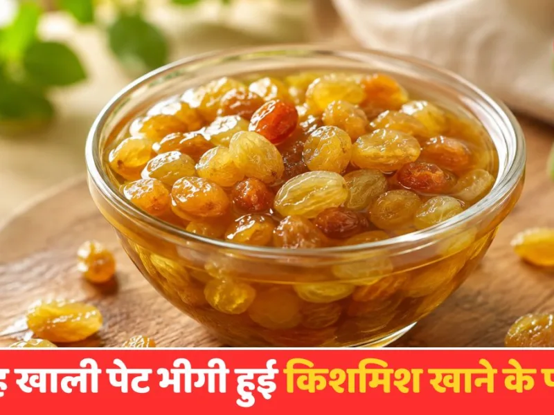 Soaked Raisins Benefits: सुबह खाली पेट भीगी हुई किशमिश खाने के फायदे, क्या सच में बढ़ता है आयरन और एनर्जी?