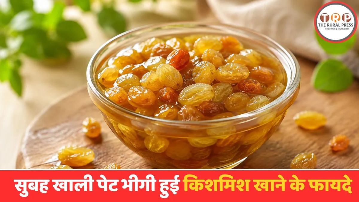 Bowl of soaked raisins in water served for a healthy morning diet.