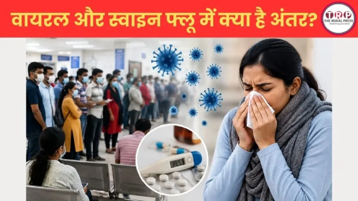 छत्तीसगढ़ समेत देशभर में बढ़ रहे फ्लू के मामले, जानें वायरल फीवर और स्वाइन फ्लू में क्या है अंतर?