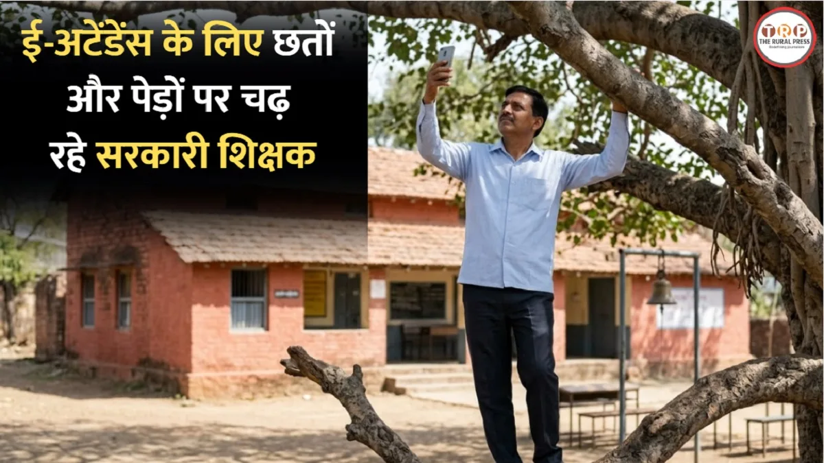 मध्य प्रदेश के स्कूल में मोबाइल नेटवर्क के लिए पेड़ पर चढ़कर ई-अटेंडेंस लगाता शिक्षक