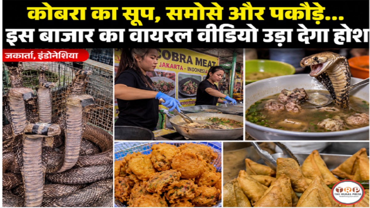 Cobra Meat Viral Video: चिकन-मटन नहीं, यहां लोग खाते हैं कोबरा के समोसे और पकौड़े! वायरल वीडियो ने चौंकाया