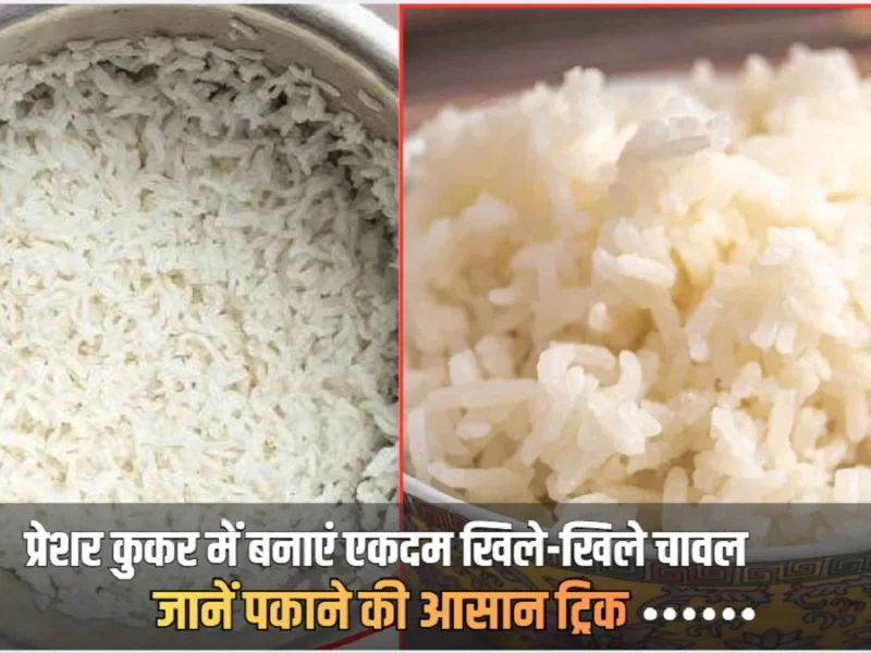 Pressure Cooker Rice: कुकर में भी बनेंगे दाना-दाना अलग खिले चावल, बस पकाते वक्त डाल दें ये 2 चीजें