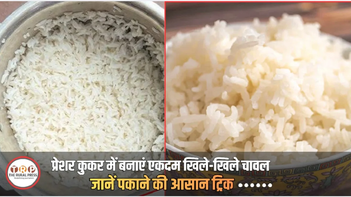 How to Make Fluffy Rice in Pressure Cooker: Easy Cooking Tips and Water Ratio