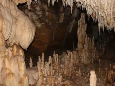 Chhattisgarh News: कैलाश गुफा क्षेत्र में 30 हाथियों का डेरा, कांवड़ यात्रा पर बढ़ा खतरा, देखें वीडियो