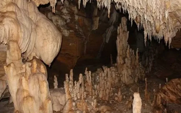 कैलाश गुफा क्षेत्र में 30 हाथियों का डेरा, कांवड़ यात्रा पर बढ़ा खतरा, देखें वीडियो