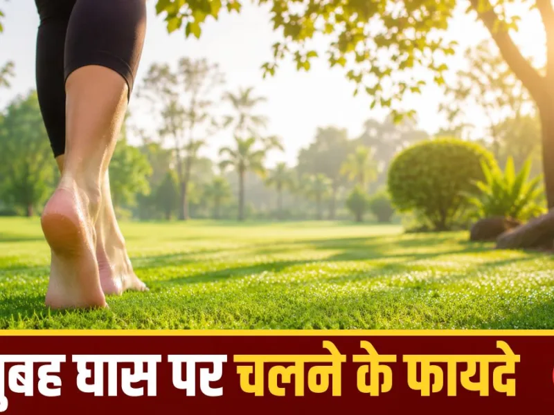 Health Tips: सुबह घास पर नंगे पैर चलना सेहत के लिए कितना असरदार, जानिए क्या कहते हैं विशेषज्ञ