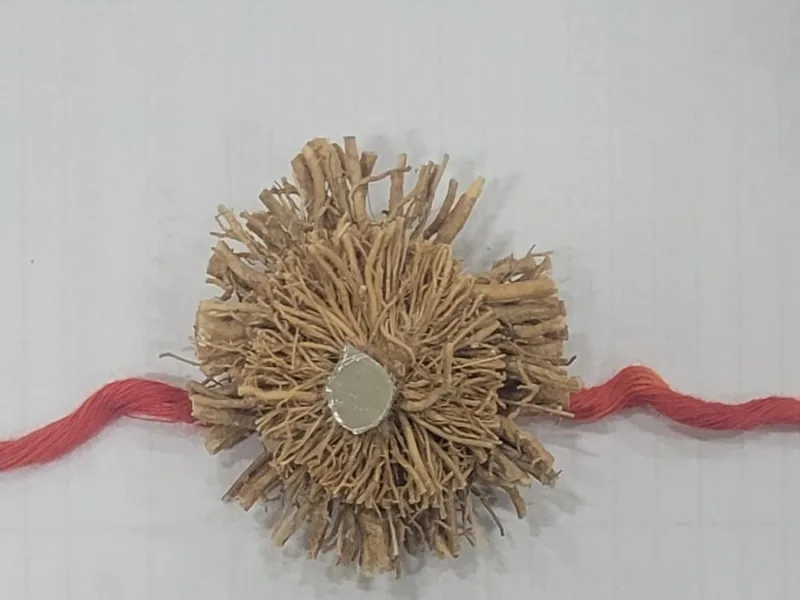 Eco friendly Khas Rakhi
