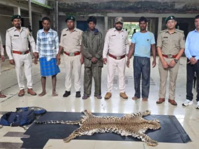 Narayanpur: वन विभाग की बड़ी कार्रवाई: तेंदुए की खाल ले जाते 3 तस्कर गिरफ्तार, 2 बाइक जब्त