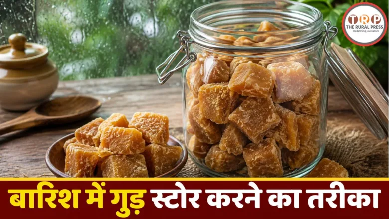 Jaggery stored safely in an airtight container during monsoon season