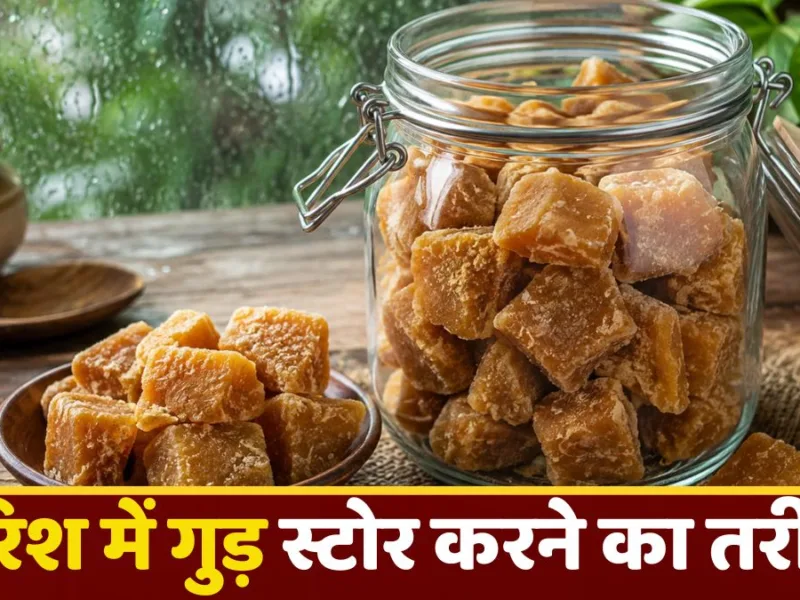 Monsoon Tips: बारिश में गुड़ क्यों हो जाता है चिपचिपा? जानें आसान उपाय