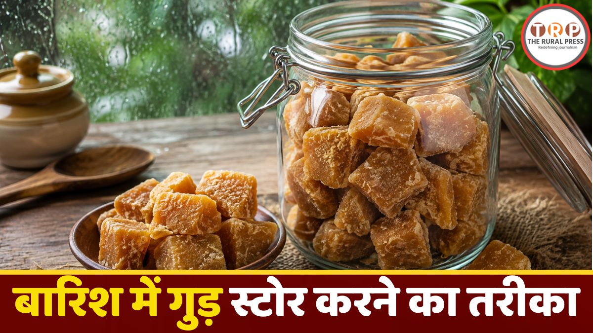 Monsoon Tips: बारिश में गुड़ क्यों हो जाता है चिपचिपा? जानें आसान उपाय