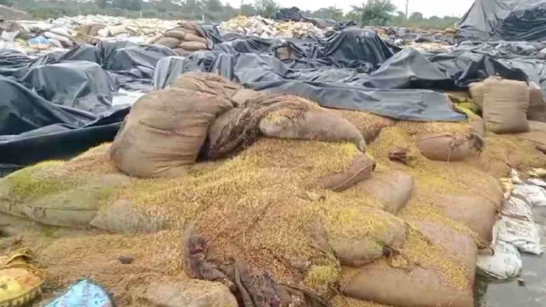 paddy damage in storage centers
