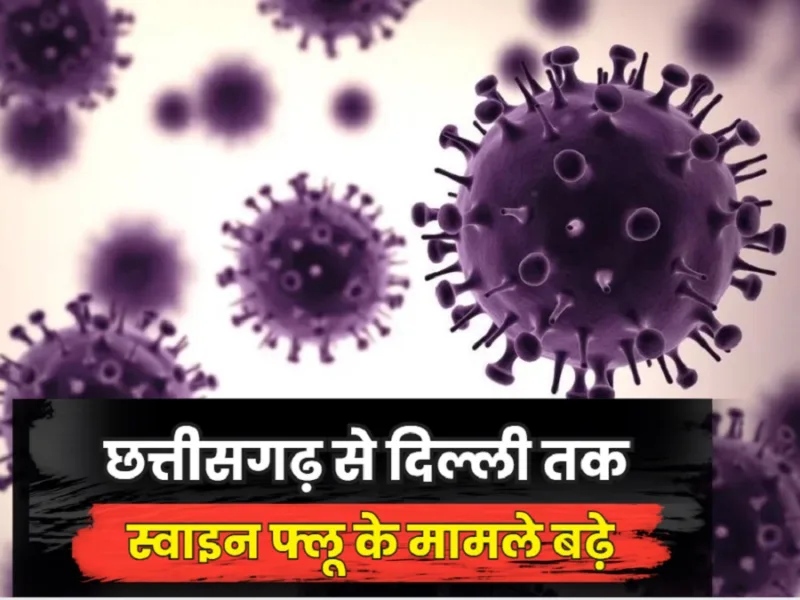 Swine flu re-infection causes: छत्तीसगढ़ से दिल्ली तक स्वाइन फ्लू के मामले बढ़े, जानें इसके अलग-अलग स्ट्रेन और लक्षण