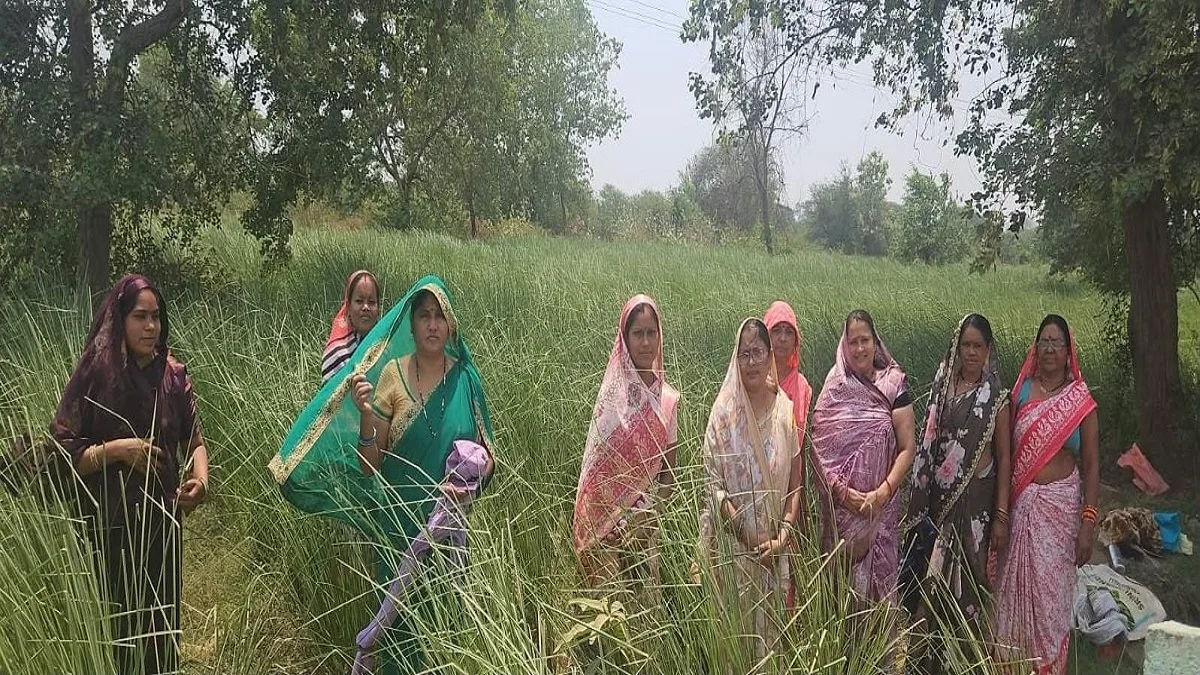Agriculture Tips: खेत में खस की खुशबू और हाथों में कमाई, महिलाओं ने ऐसे बदली अपनी आजीविका