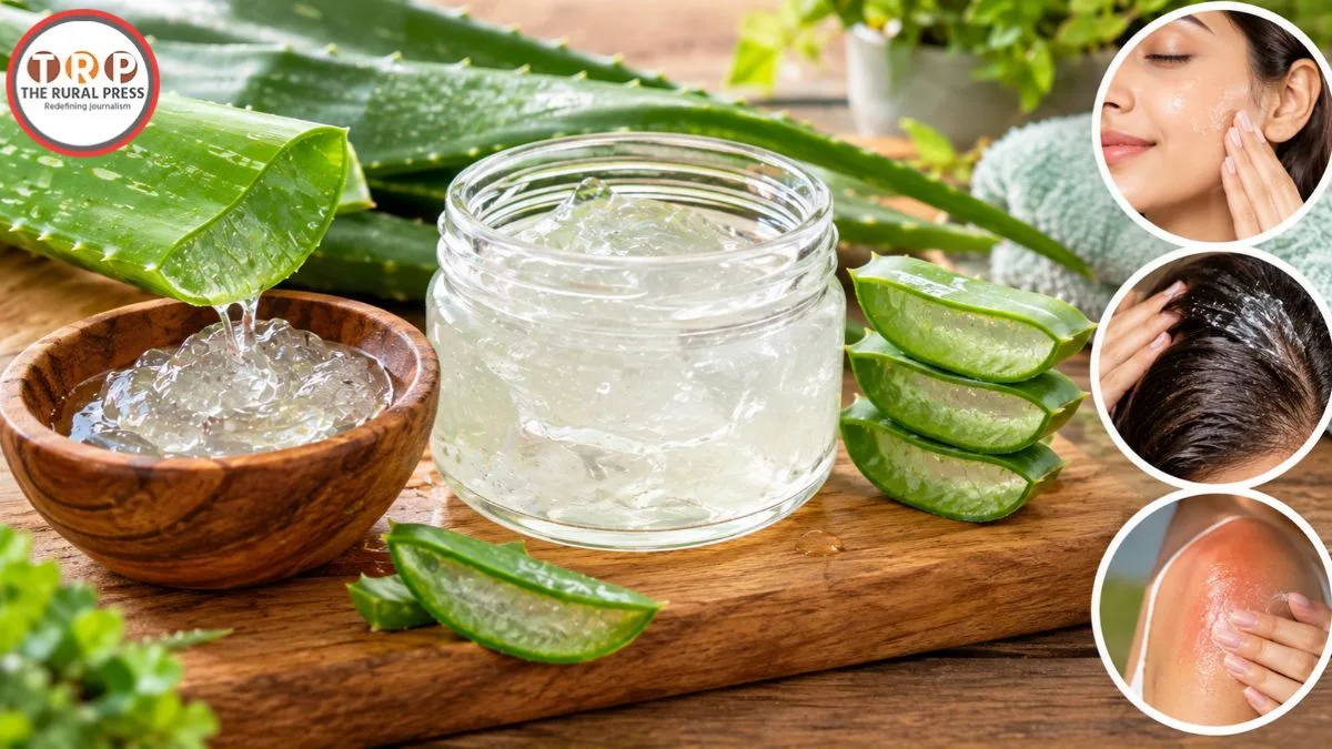 Aloe Vera Gel: घर पर ऐसे बनाएं ताजा एलोवेरा जेल, इस्तेमाल से पहले ध्यान रखें ये बातें