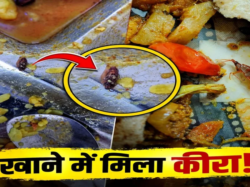 Amity University students raising concerns over insects found in mess food