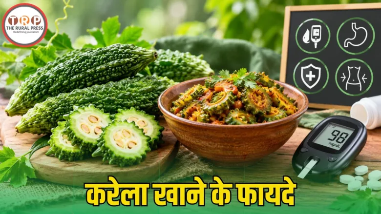 Bitter gourd karela vegetable and its health benefits