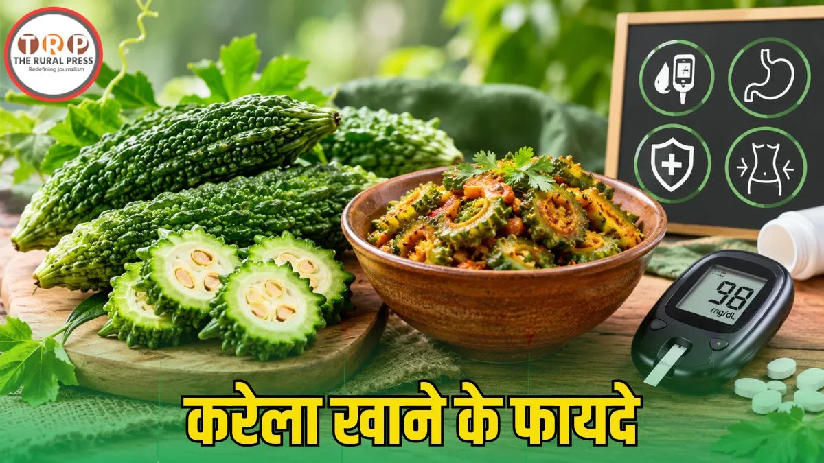 Bitter Gourd Benefits: वजन घटाना है या ब्लड शुगर रखना है कंट्रोल? आज ही डाइट में शामिल करें करेला