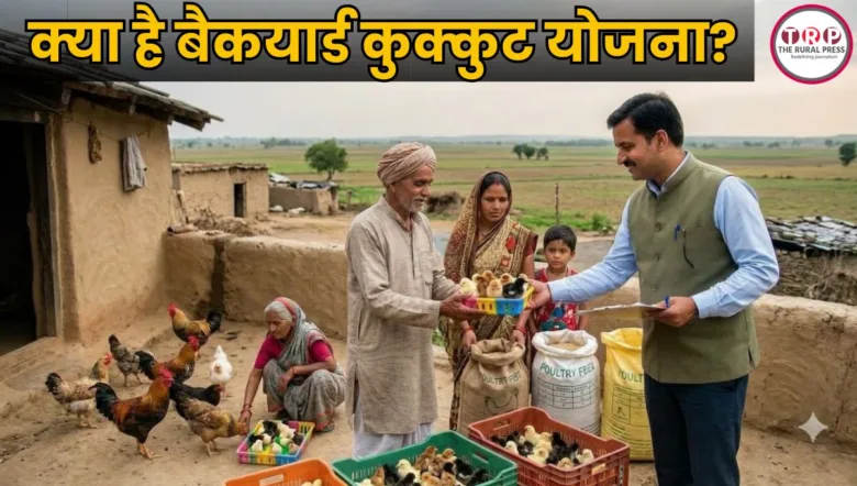 Chhattisgarh backyard poultry scheme providing colorful chicks to rural beneficiaries