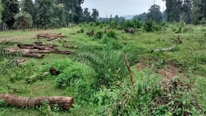Online land demarcation service in Chhattisgarh