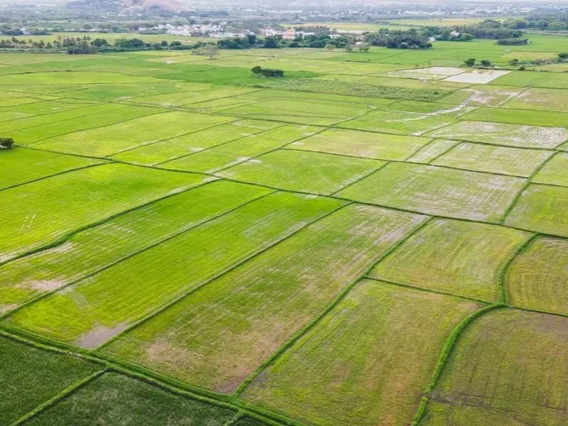 Chhattisgarh online land demarcation portal for property survey