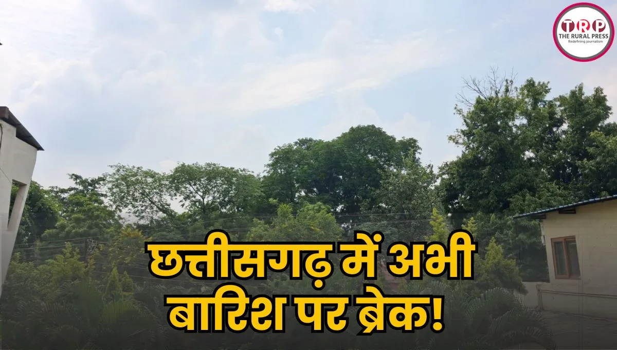 CG Weather Update: छत्तीसगढ़ में कमजोर पड़ा मानसून, रायपुर में भीषण गर्मी, दो दिनों के बाद झमाझम बारिश के आसार