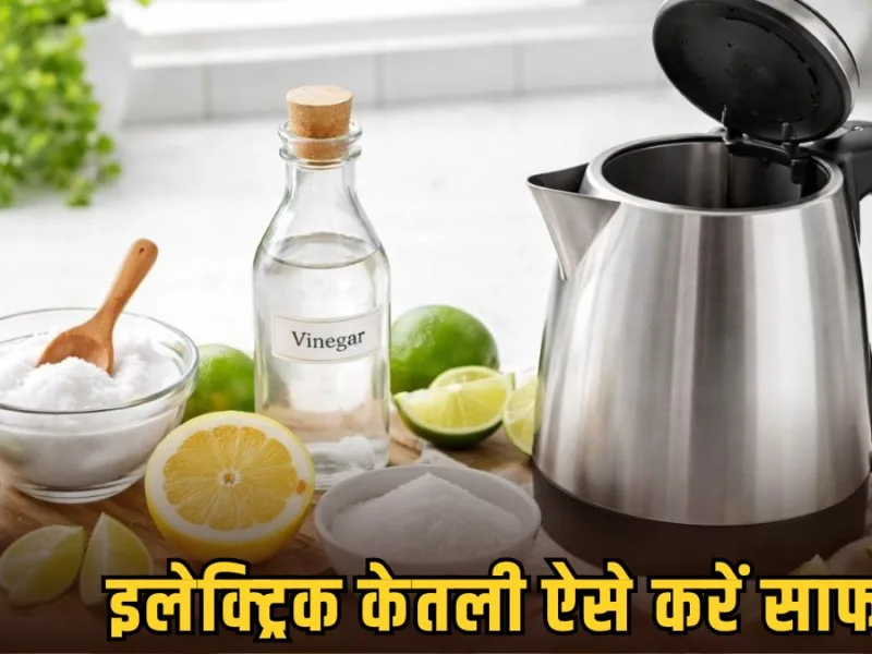 How to Clean an Electric Kettle with White Vinegar, Lemon and Baking Soda