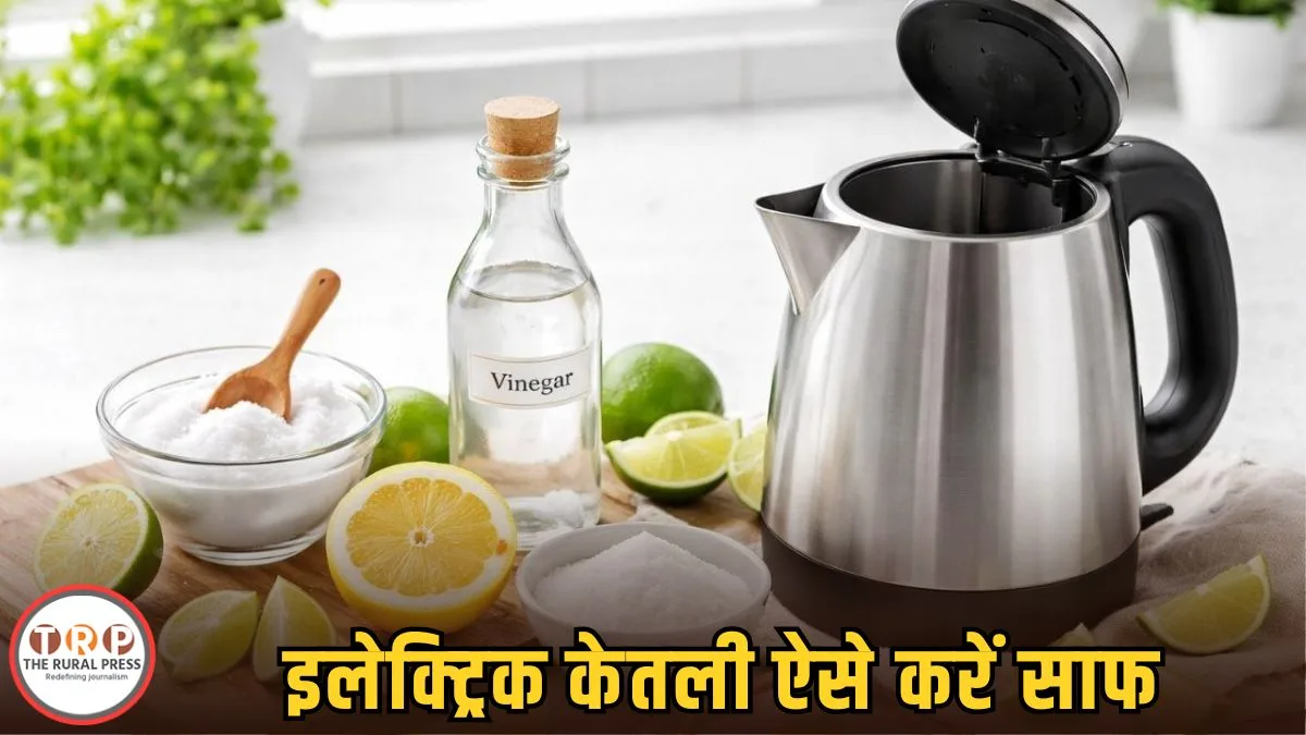 Electric Kettle Cleaning Tips: केतली में जम गई सफेद परत? सफाई के लिए अपनाएं ये आसान तरीके