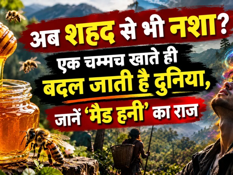 Mad Honey from Nepal with Himalayan honey hunters on a steep cliff