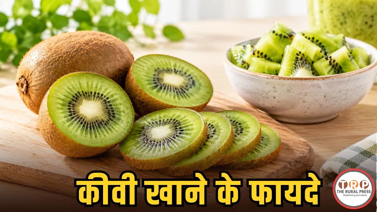 Kiwi Benefits: रोज एक कीवी खाने से क्या फायदे मिल सकते हैं? जानें इम्यूनिटी से पाचन तक फायदे