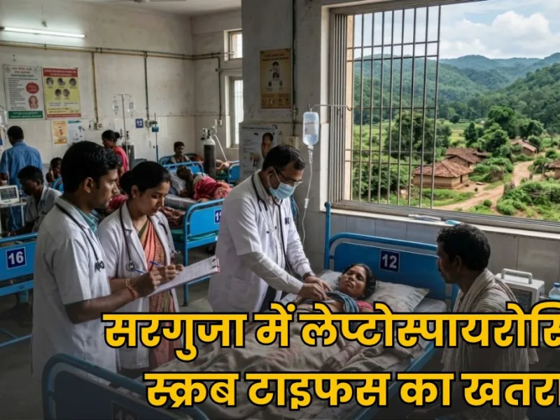 सरगुजा के जंगलों में बढ़ा इन दो खतरनाक संक्रमणों का खतरा! सामने आए 50 से ज्यादा मामले, जानिए लक्षण और बचाव के उपाय