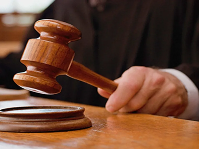 Madras High Court house husband remark in doctor couple divorce case
