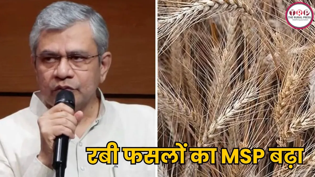 Modi Cabinet Meeting: रबी फसलों का MSP बढ़ा, ग्रीन एनर्जी पर खर्च होंगे ₹1.86 लाख करोड़, मोदी कैबिनेट में लिए गए ये 3 बड़े फैसले