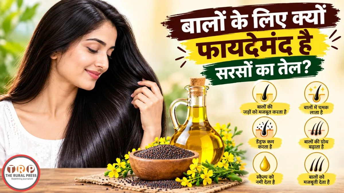 Mustard Oil For Hair: बालों के लिए क्यों फायदेमंद है सरसों का तेल? जानिए बड़े कारण