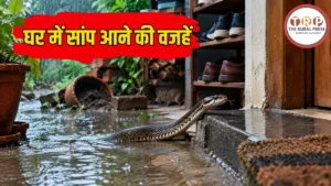 Snakes in Monsoon: बारिश में घर में क्यों घुसते हैं सांप? जानें वजह और बचाव के आसान तरीके