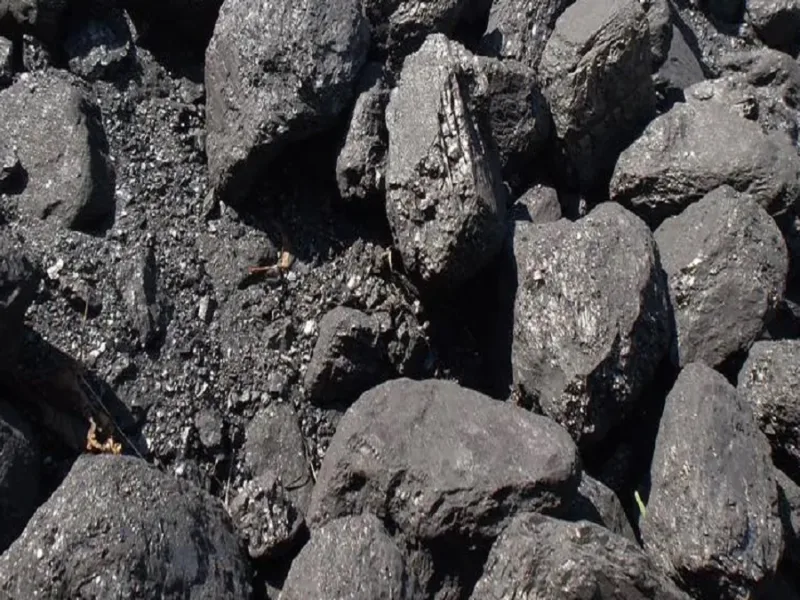Tara Coal Block Auction