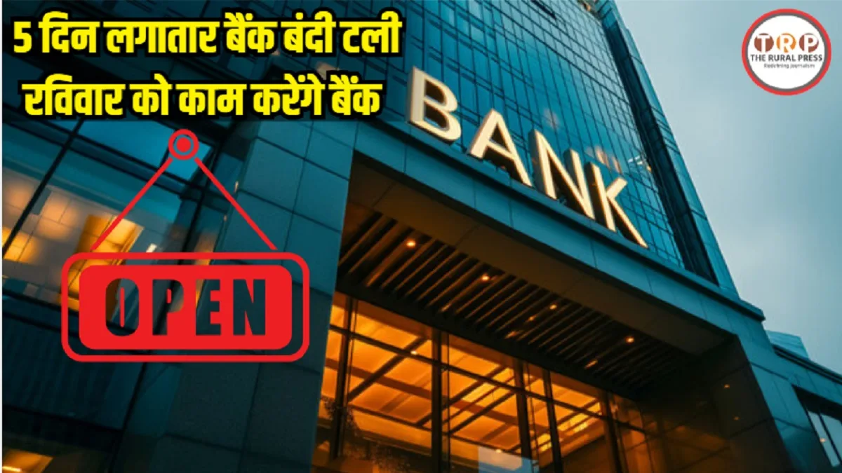 Banks Open Sunday: 30 सितंबर की क्लोजिंग से पहले अलर्ट, रविवार को खुलेंगे बैंक, SBI समेत कई बैंकों ने जारी की एडवाइजरी