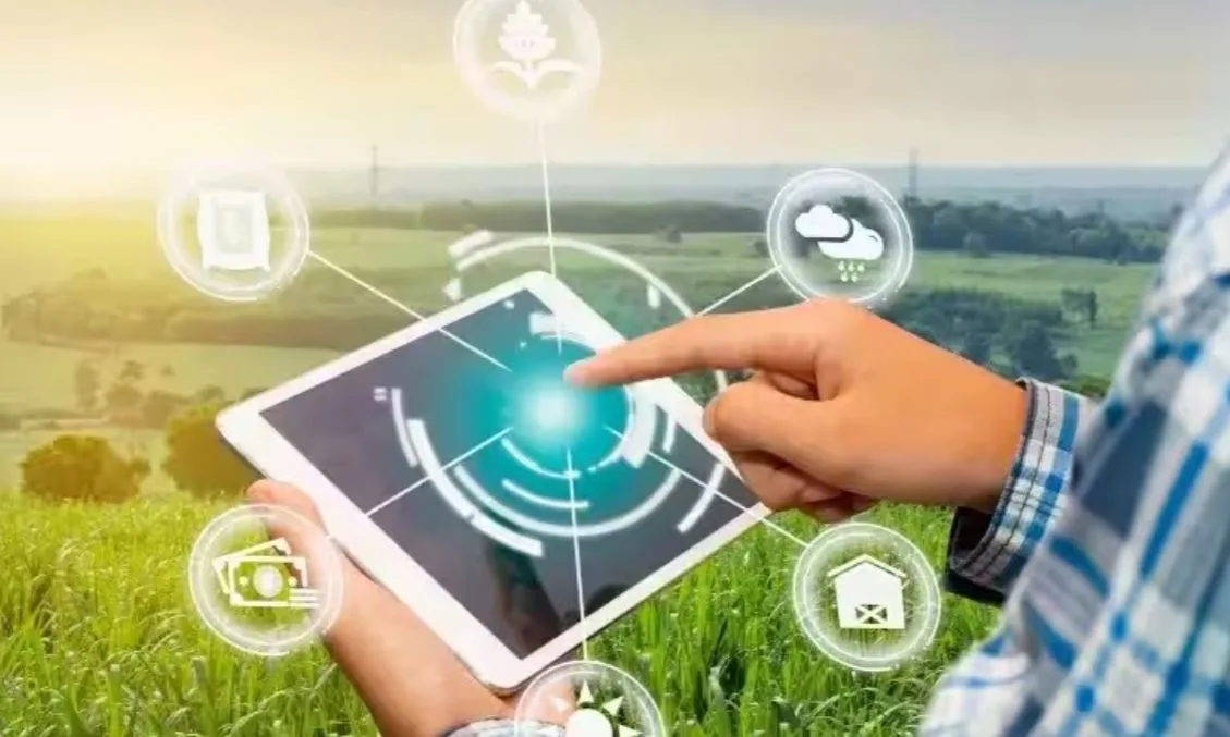 Chhattisgarh Paddy Satellite GIS Digital Crop Survey: अब सैटेलाइट बताएगा खेत में धान है या नहीं, छत्तीसगढ़ में GIS और रिमोट सेंसिंग से होगी पहचान