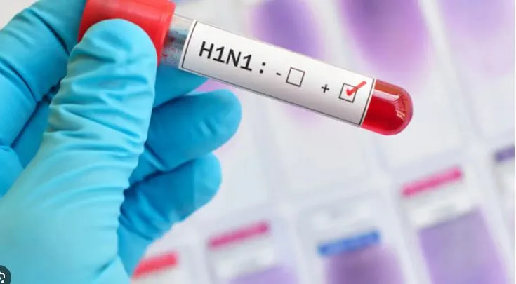 Chhattisgarh Swine Flu H1N1: छत्तीसगढ़ में H1N1 स्वाइन फ्लू मरीजों का आंकड़ा 176 पार, जानिए अपने जिले का हाल