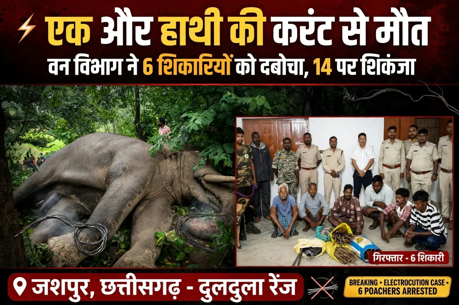 Jashpur: एक और हाथी की करंट से हुई मौत, शिकारियों ने डेढ़ किलो मीटर लंबा बिछाया था बिजली का तार