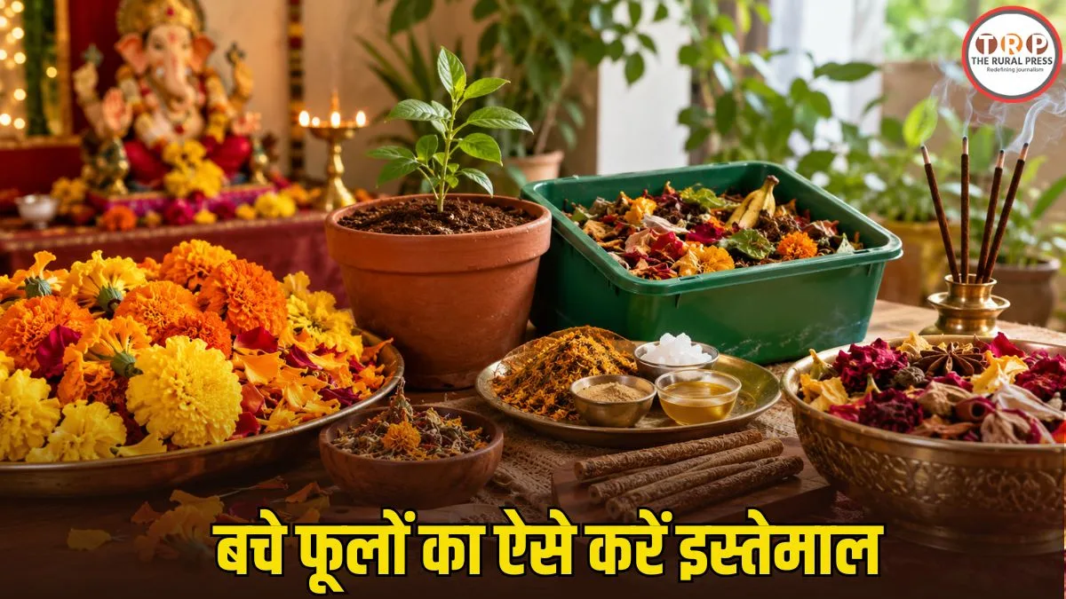 ganesh utsav flower recycling: गणेश पूजा के बाद बचे फूल फेंकने की जरूरत नहीं, इन 4 तरीकों से करें घर में इस्तेमाल