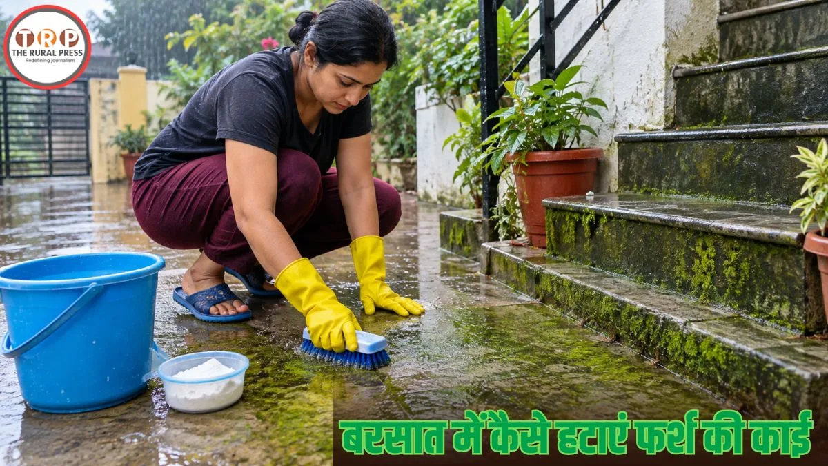monsoon floor cleaning tips: बरसात में फर्श पर जम गई काई? इन आसान उपायों से करें सफाई