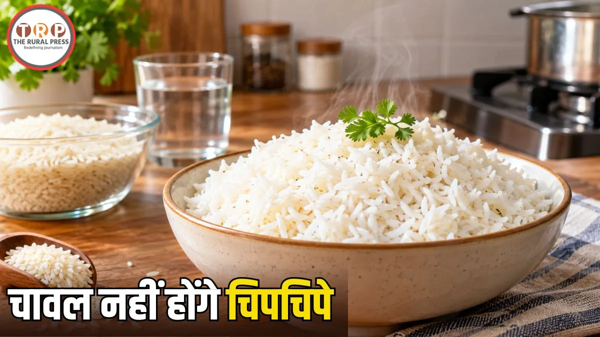 Rice Cooking Tips: चिपचिपे चावल से हैं परेशान? अपनाएं ये 6 आसान किचन ट्रिक्स, हर दाना बनेगा खिला-खिला