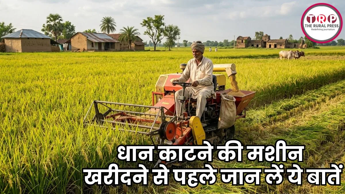 किसानों के लिए जरुरी की खबर! धान कटाई के लिए कौन सी मशीन सबसे काम की? जानें पूरी जानकारी