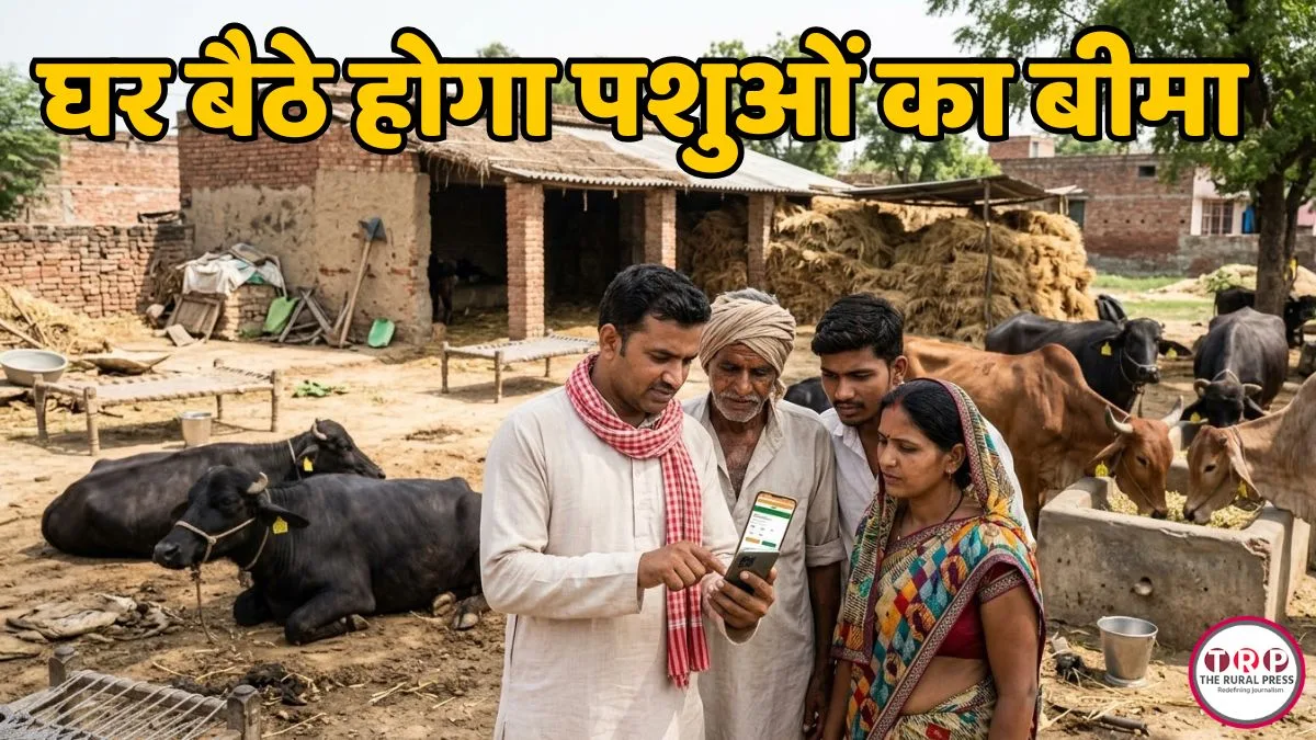 पशुपालकों के लिए बड़ी राहत! अब घर बैठे होगा पशुओं का बीमा, ऑनलाइन कर सकेंगे क्लेम, जानिए डिटेल